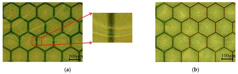 Development of a Novel Transparent Flexible Capacitive Micromachined ...