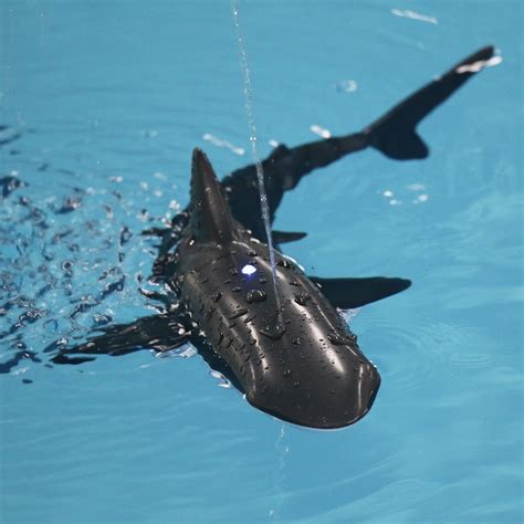 Image result for Remote Control Sharks Making Swim