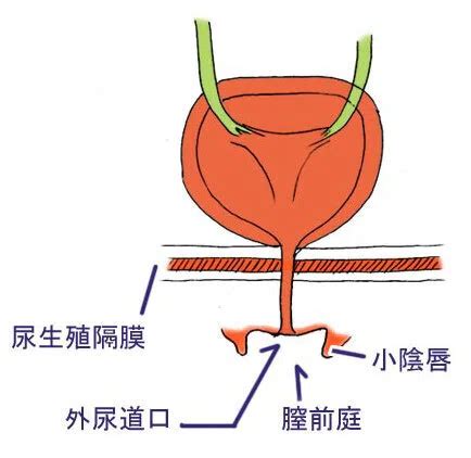 Image result for Virtual Science Lab