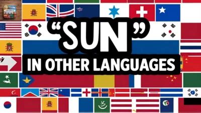 85+ Star in Other Languages