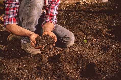 What Does Loam Mean to a Gardener?