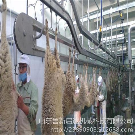 A鸭胚生产设备 全自动鸭屠宰流水线设备厂家 北京烤鸭加工设备-阿里巴巴