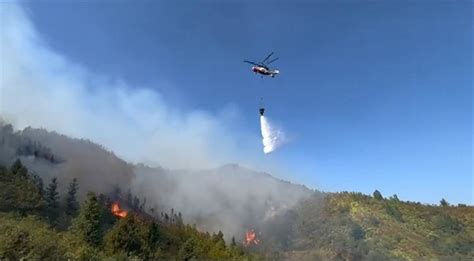 “探秘”直升机灭火：5秒钟精准洒下3吨水-中国森林草原防火网