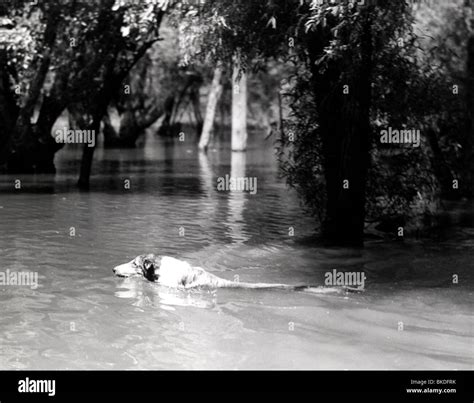 1943 movie hi-res stock photography and images - Alamy
