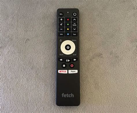 Set Up Fetch Mini 的图像结果