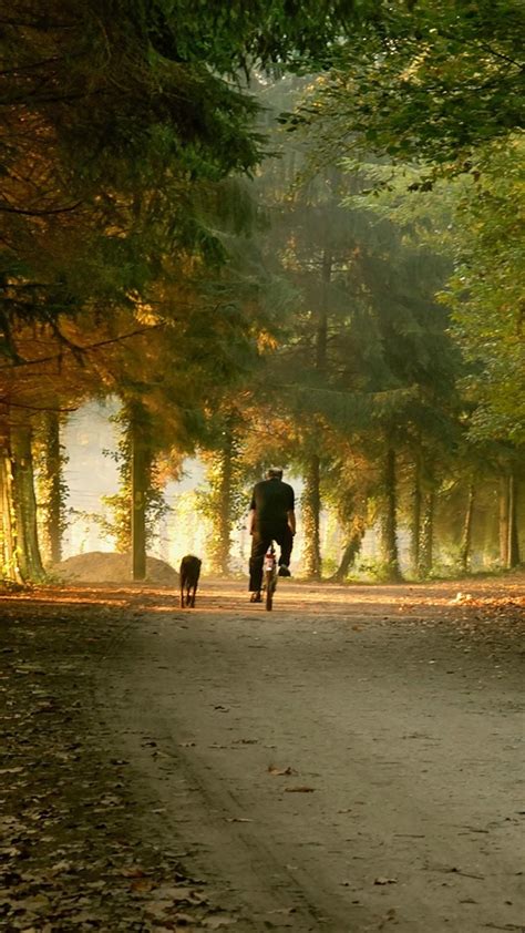 Fall Running 的图像结果