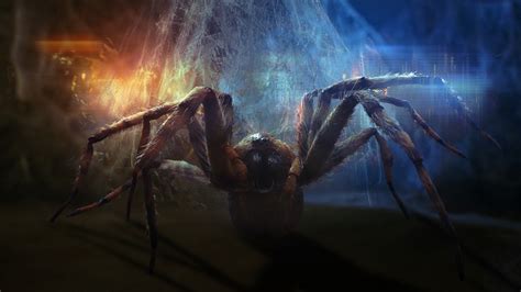 Mutant Spiders | Explore the Whoniverse | Doctor Who