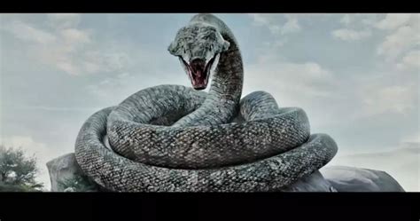 Película SUB español [Serpientes III] Lucha entre el dragón y la ...
