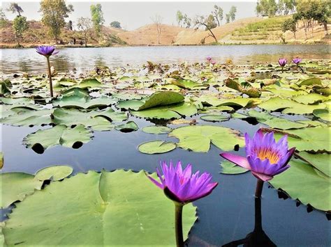 Madhabpur Lake 1