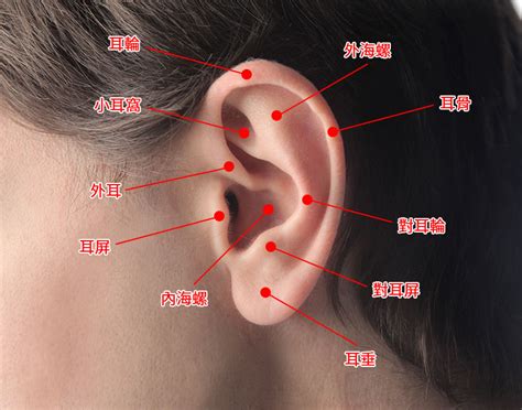 三种体质不宜打耳洞？耳洞发炎有方法 - 知乎