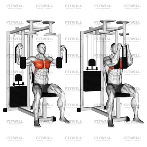 Lever Pec Deck Fly: Exercise Guide, Video, Techniques, Benefits, How to ...