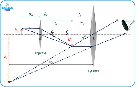 Explanation for Microscope CBSE 12 的图像结果