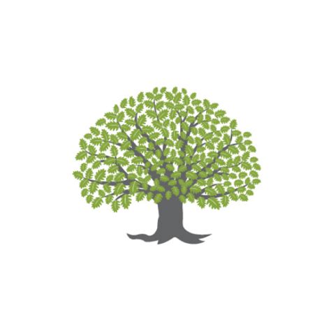 WhiteOak Capital Pharma and Healthcare Fund Direct growth - Check Today ...