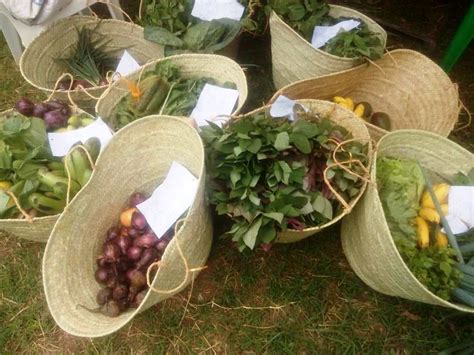 Local Farmers 的图像结果