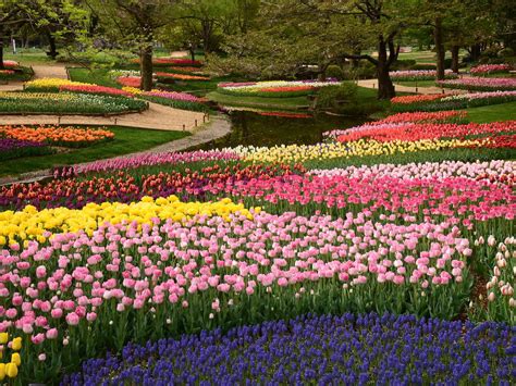 Spring Annotations Tutorial 的图像结果