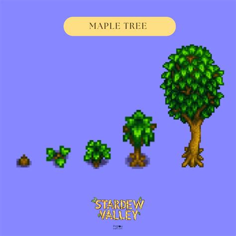 How to Grow Maple Trees and Make Maple Syrup in Stardew Valley - Pigtou