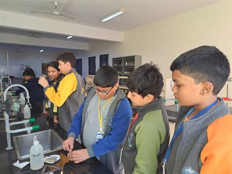 Best Cambridge School in Noida | Best IGCSE Schools in Noida