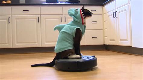 Hitting the Books: How Dave Chappelle and curious cats made Roomba a ...