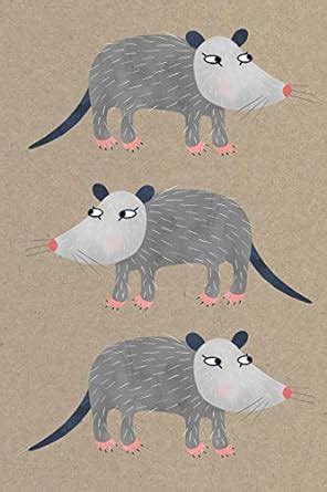 Buy Notes: A Blank Guitar Tab Music Notebook with Cute Possum Cover Art ...