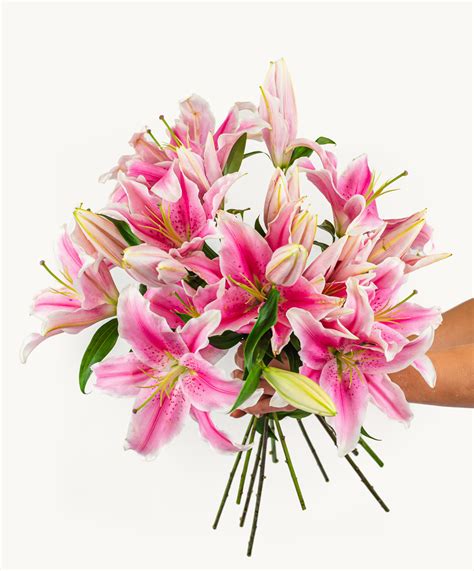 Pretty in Pink Lilies Bouquet | BloomsyBox