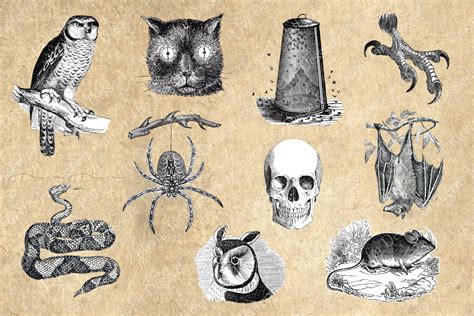 Vintage Halloween Clip Art Images