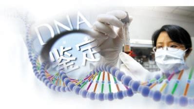 什么机构做亲子DNA检测结果准? - 常见问题 - 司法局批准的亲子鉴定中心机构-北京信诺司法鉴定所