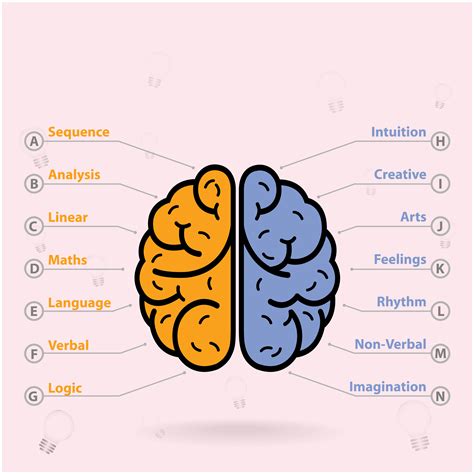 Right Brain Left Brain 的图像结果