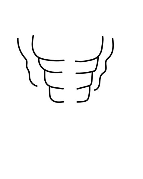 Image result for Draw Abs for Beginners