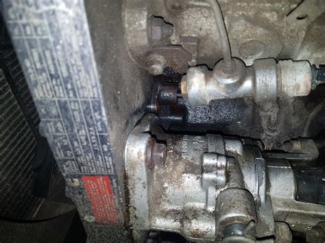 Ms. Sethi: The Leak That Could End It All - Truth or Fiction