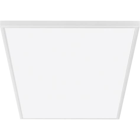 Lithonia Lighting 2-ft x 4-ft Neutral White LED Panel Light (Pallet Of ...