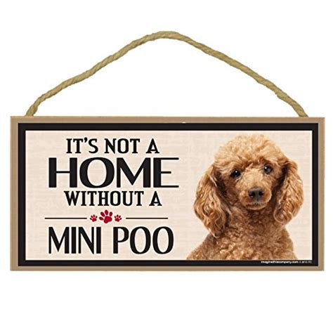 Buy Wood Breed Sign, Mini Poo Online at Low Prices in India - Amazon.in