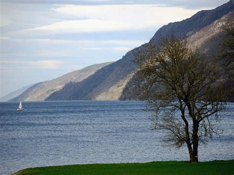 Download Loch Ness Lake Tree Wallpaper | Wallpapers.com