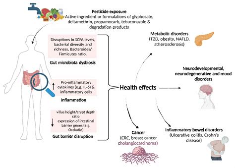 Unveiling the Impacts of Glyphosate, Deltamethrin, Propamocarb and ...