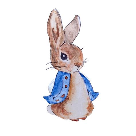 Image result for Rabbit SpO2