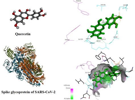 Physicochemical properties, medicinal chemistry, toxicity, and absorption of quercetin and its ...