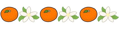 Image result for Algorithm Examples in C Language
