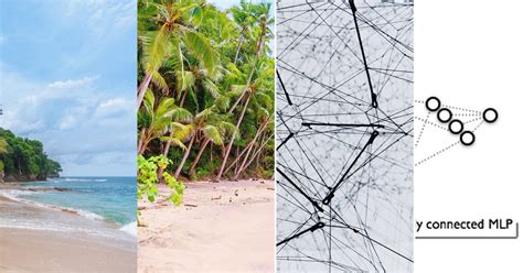 Data Science Deep Learning 的图像结果