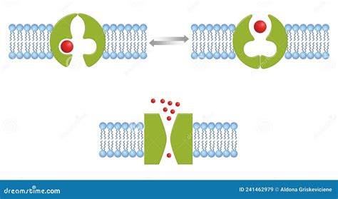 How Diffusion Works Animation 的图像结果
