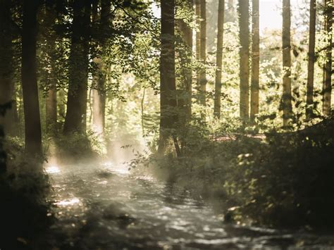 Lost Places in Warmbad Villach, Naturpark Dobratsch Kärnten, Villach ...
