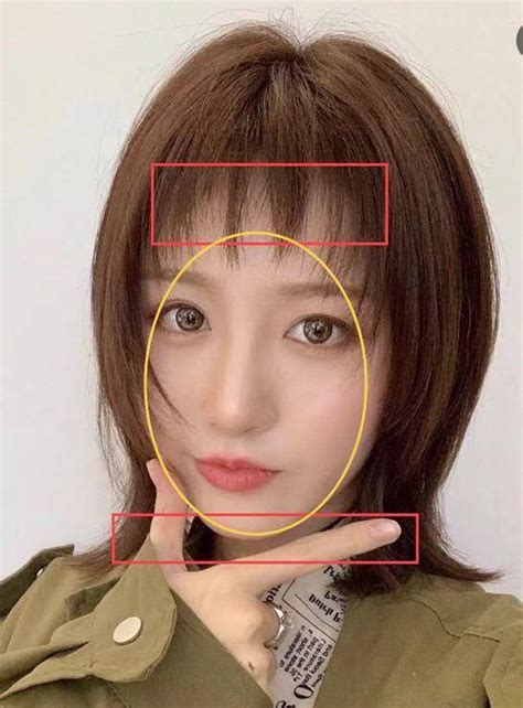 Image result for Basic Python in Google Colab