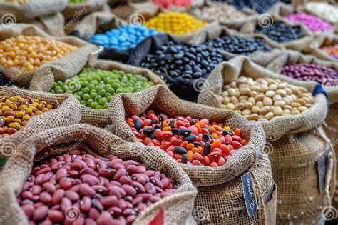 Image result for Basic Program Template