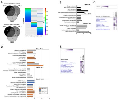 The Proteome Signatures of Fibroblasts from Patients with Severe ...
