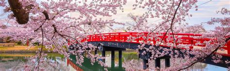 Japan's Golden Week 2026 - Travel Tips for a Successful Trip