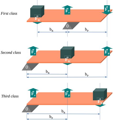 Classification of levers in the three basic types, first class, second ...