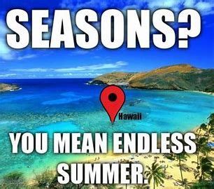 Command Language Program Manager 的图像结果