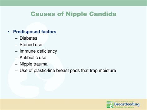 PPT - Breastfeeding Management for Physicians: Addressing Common Problems PowerPoint ...