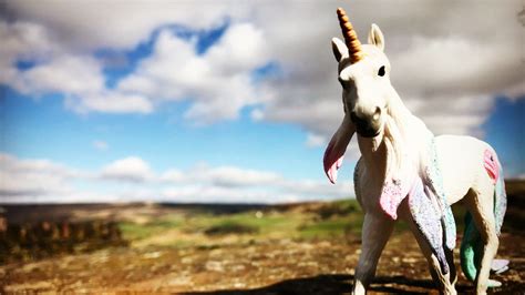 A Brief History of Unicorns