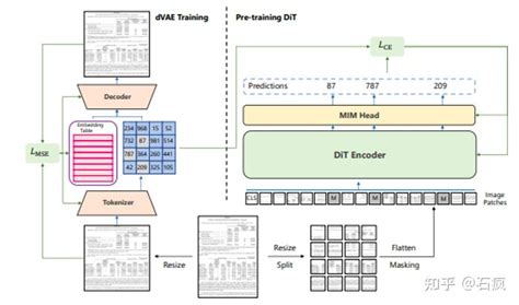 Diffusion Transformer 的图像结果