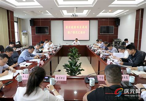 【中国台湾网】庆元县委书记：积极接轨海西区 大力加强对台合作--中国庆元网