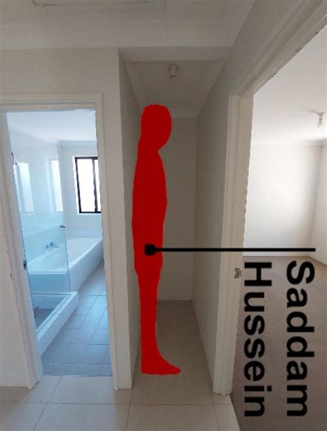 Saddam Hussein's Hiding Cranny | Know Your Meme